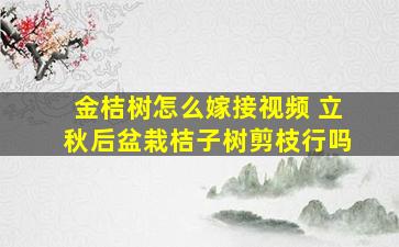 金桔树怎么嫁接视频 立秋后盆栽桔子树剪枝行吗